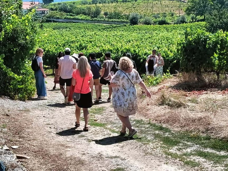 Porto: Douro Valley Tour at 2 Wineries with Lunch and Cruise - The Régua dam and the first valley views