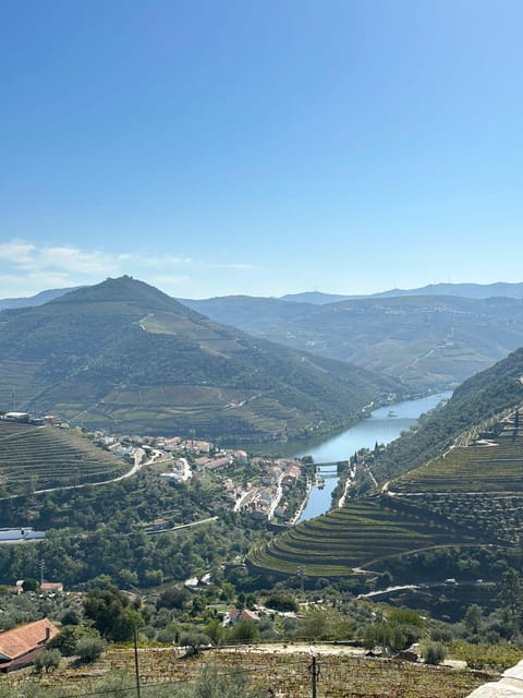 Porto: Douro Valley Tour w/ 3 Tastings, Lunch, & Opt. Cruise - Lunch at a family winery