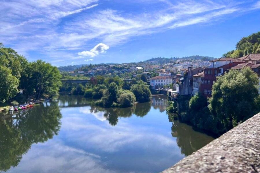 Porto: Douro Valley Tour w/ 3 Tastings, Lunch, & Opt. Cruise - Port after lunch and the olive oil museum