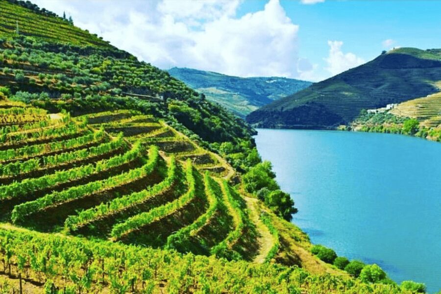 Porto: Douro Valley Tour w/ 3 Tastings, Lunch, & Opt. Cruise - Leaving Porto for the Douro