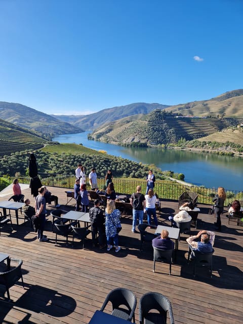 Porto: Douro Valley Tour W/ Wine Taste, Boat Cruise & Lunch - First wine tasting in the Douro Valley