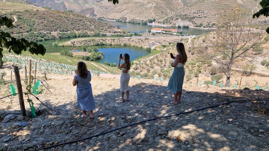 Porto: Douro Valley Tour W/ Wine Taste, Boat Cruise & Lunch - Seeing the valley from a rabelo boat