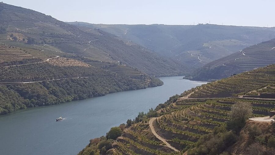 Porto: Douro Valley Tour W/ Wine Taste, Boat Cruise & Lunch - Is $113 a fair price?