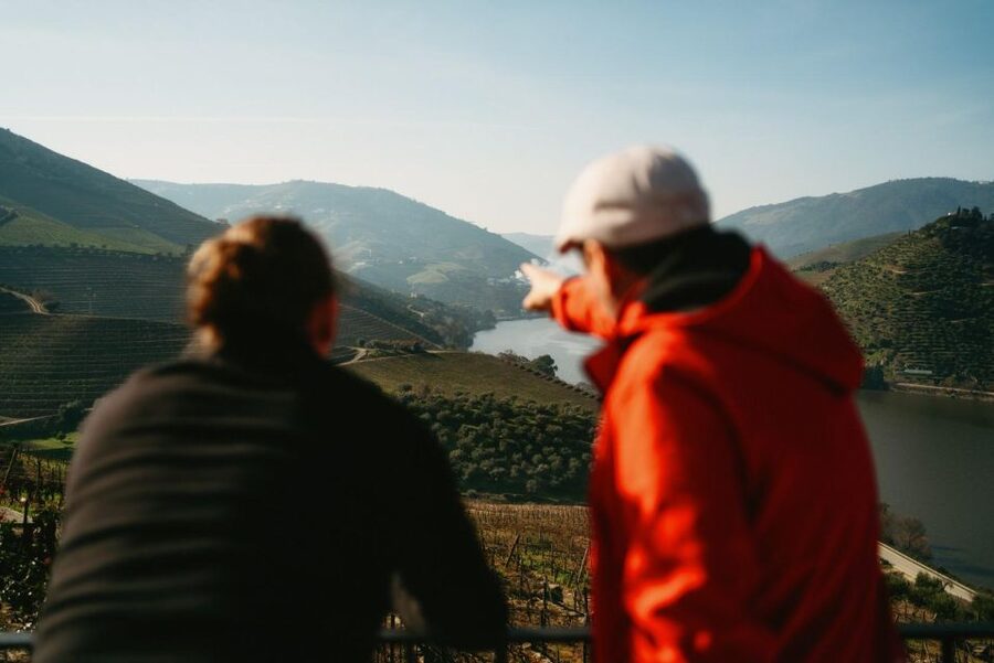 Porto: Douro Valley Tour with 2 Wineries, Lunch and Cruise - Who will enjoy this most?