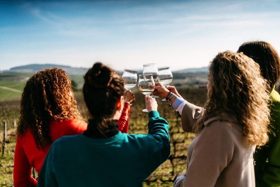 Porto: Douro Valley Tour with 2 Wineries, Lunch and Cruise - The N222 and the Douro Valley views