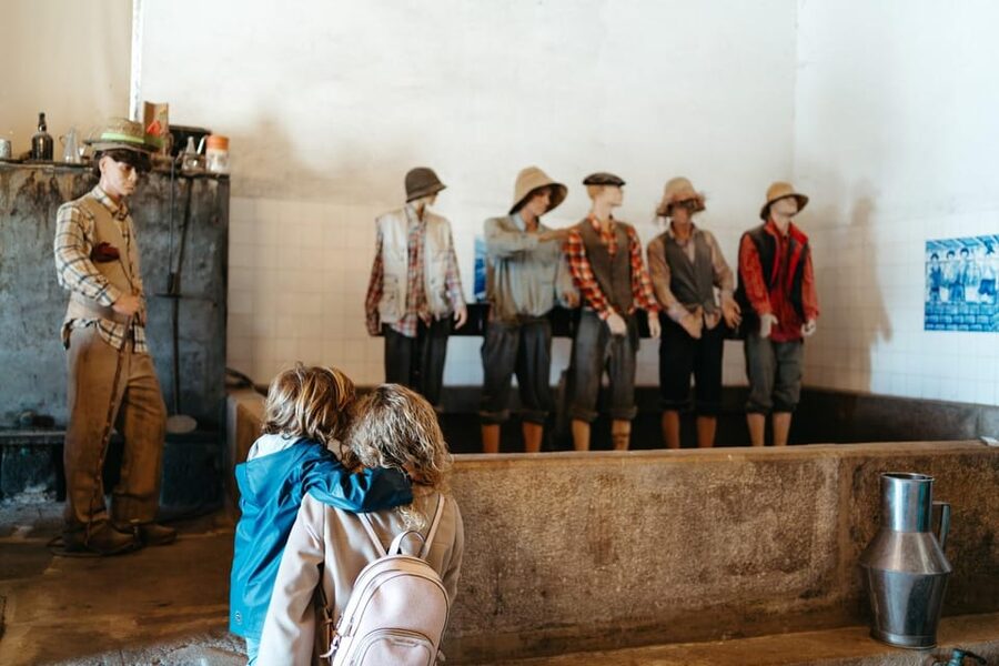 Porto: Douro Valley Tour with 2 Wineries, Lunch and Cruise - The first winery: port, olive oil, and local products