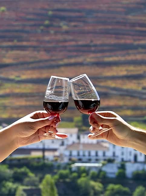 Porto: Douro Valley Tour with 3 vineyards and lunch. - FAQ