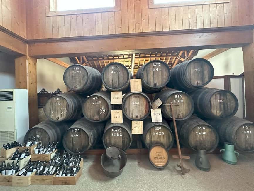 Porto: Douro Valley Tour with 3 vineyards and lunch. - Douro River viewpoints and terraced vineyards