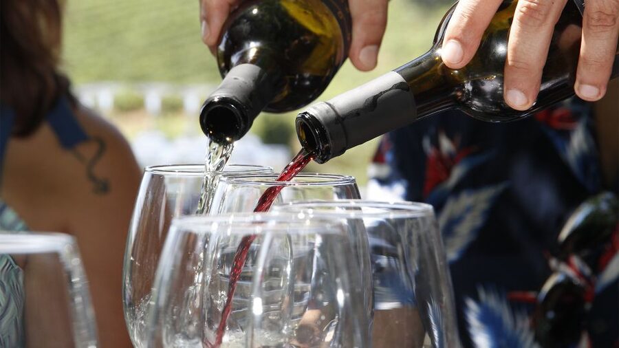 Porto: Douro Valley Tour with 3 vineyards and lunch. - Lunch among the vineyards in Sabrosa