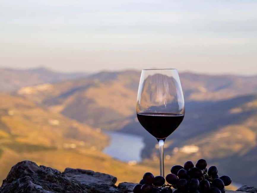 Porto: Douro Valley Tour with 3 vineyards and lunch. - The third estate and olive oil tasting