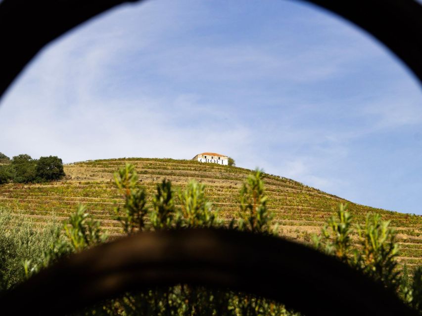 Porto: Douro Valley Tour with 3 vineyards and lunch. - Why the guides shape the experience