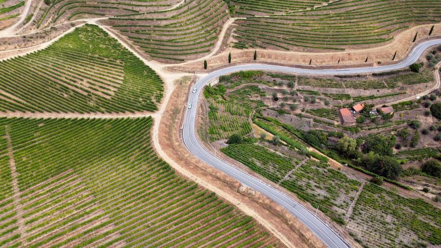 Porto: Douro Valley Tour with 3 vineyards and lunch. - Is $147 a fair price?