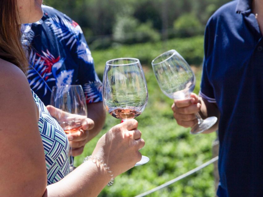Porto: Douro Valley Tour with 3 vineyards and lunch. - Timing, comfort, and who should book