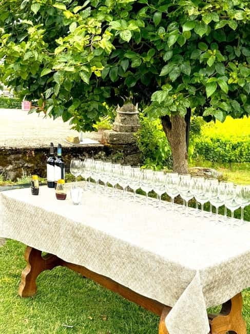 Porto: Douro Valley Tour with 3 Wineries and Lunch - Why the Douro Valley makes a good full-day trip