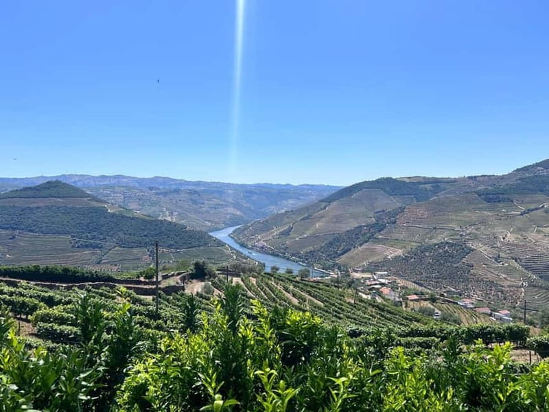 Porto: Douro Valley Tour with 3 Wineries and Lunch - The N222 scenic drive