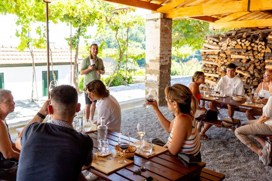 Porto: Douro Valley Tour with Lunch, Boat Cruise & Tastings - How much value do you get for $82?