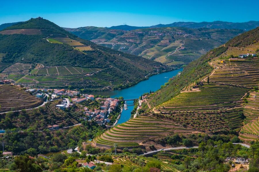 Porto: Douro Valley Tour with Lunch, Boat Cruise & Tastings - The second cellar, Port, Douro wine, and olive oil