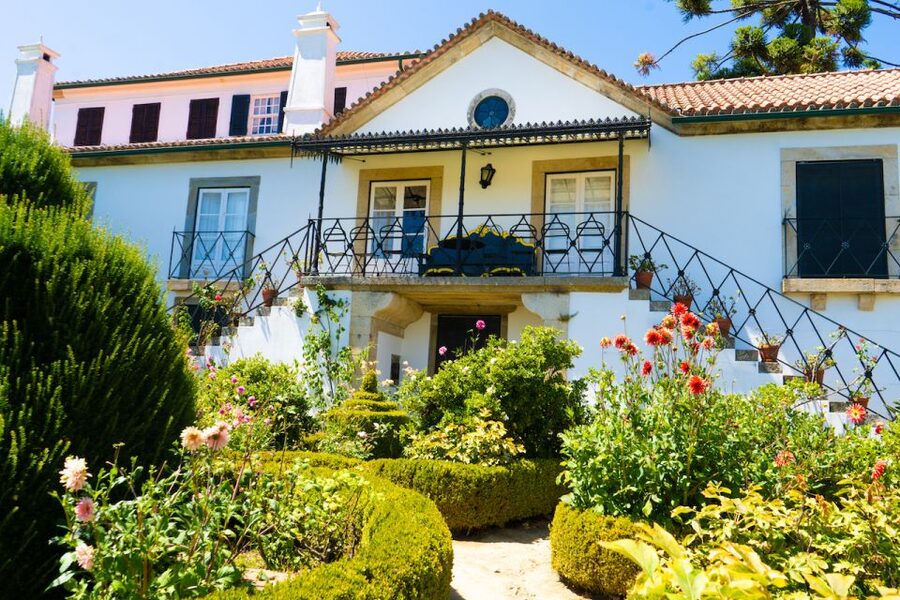 Porto: Douro Valley Tour with Lunch, Boat Cruise & Tastings - The N222 road and viewpoints near Vila Real
