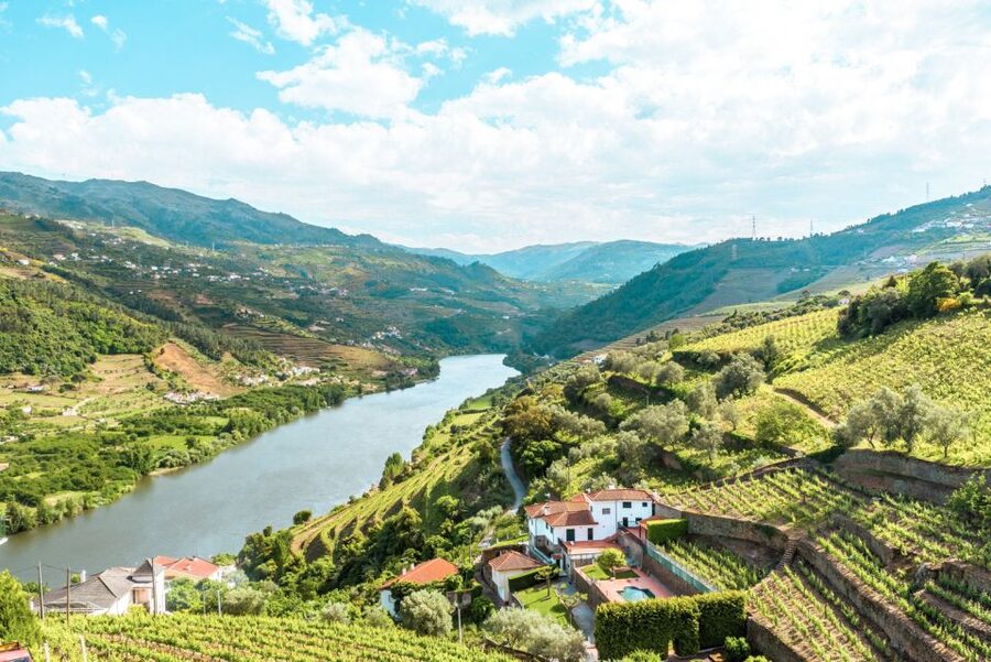 Porto: Douro Valley Tour with Wine Tasting, Cruise and Lunch - Key points to know before booking