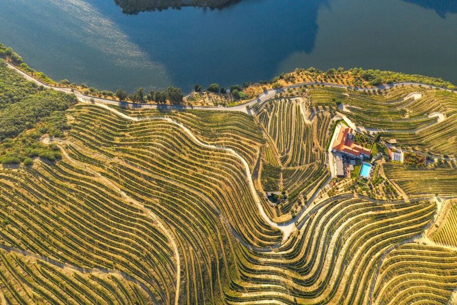 Porto: Douro Valley Tour with Wine Tasting, Cruise and Lunch - Who should book this Porto wine tour?