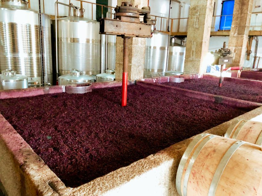 Porto: Douro Valley Tour with Wine Tasting, Cruise and Lunch - A traditional lunch with wine in the Douro
