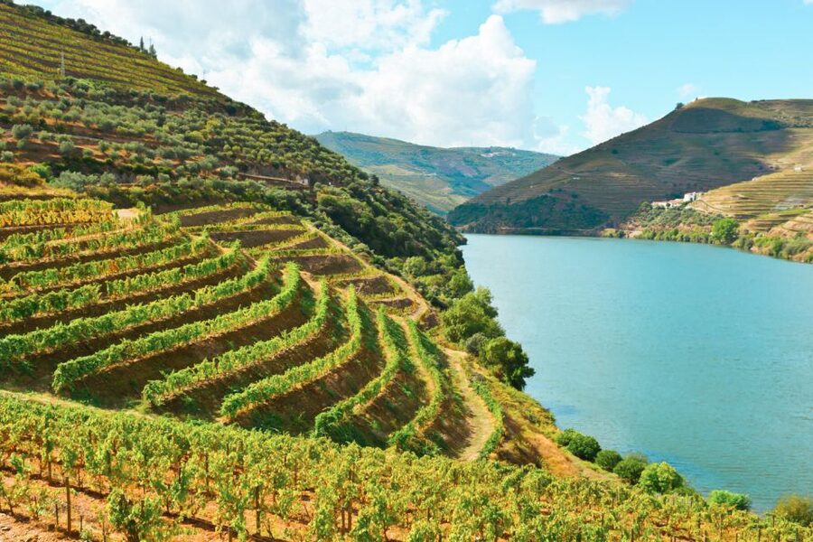 Porto: Douro Valley Tour with Wine Tasting, Cruise and Lunch - One hour on the Douro River from Pinhão