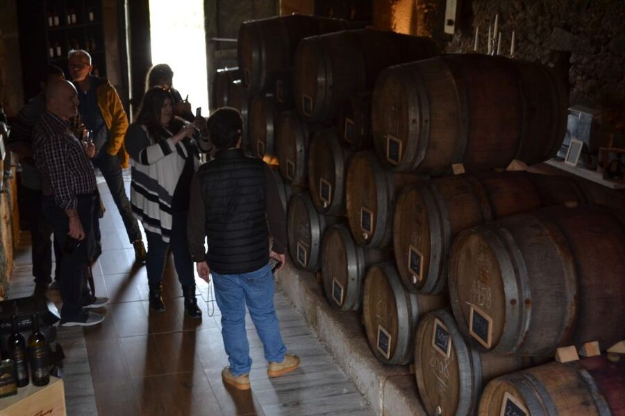 Porto: Douro Valley Vineyards Tour with Lunch & River Cruise - Why the Douro Valley makes a fine day from Porto