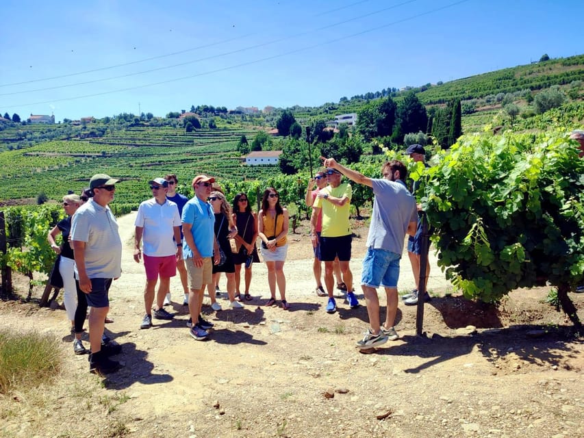 Porto: Douro Valley Vineyards Tour with Lunch & River Cruise - First tasting around Lamego
