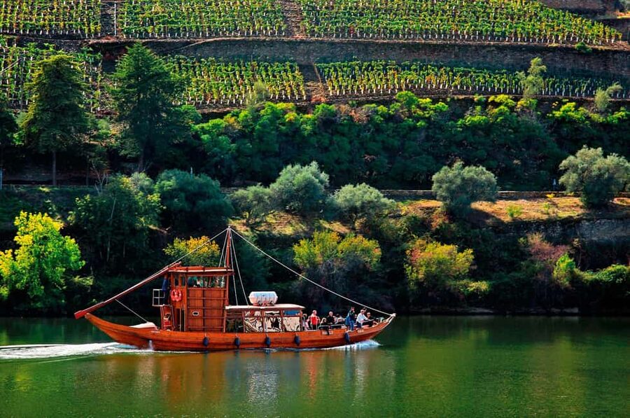 Porto: Douro Valley Wine Tour in a Small Group with a Boat Ride, Wine & Food - Who should book this tour