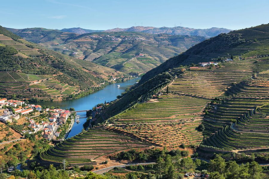 Porto: Douro Valley Wine Tour with a Sommelier & Boat Trip - A Wine Day That Starts Before the Douro