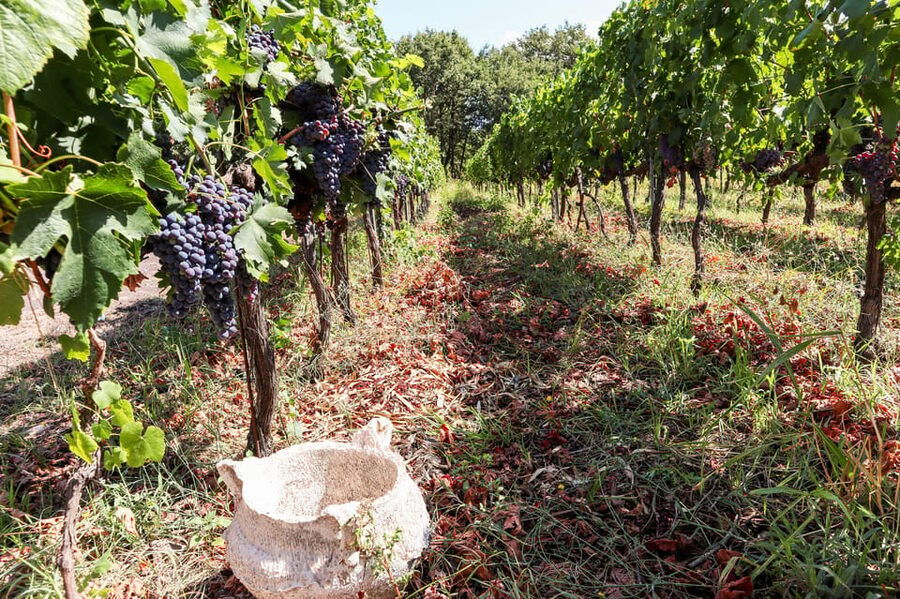 Porto: Douro Valley Wine Tour with a Sommelier & Boat Trip - Practical Tips for a Better Day