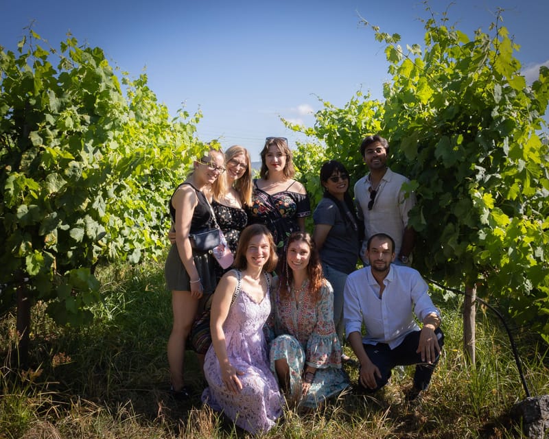 Porto: Douro Valley Wine Tour with a Sommelier & Boat Trip - The Second Quinta and Older Port