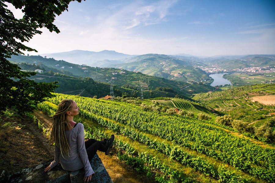 Porto: Douro Valley Wine Tour with a Sommelier & Boat Trip - Why the Small Group Changes the Experience