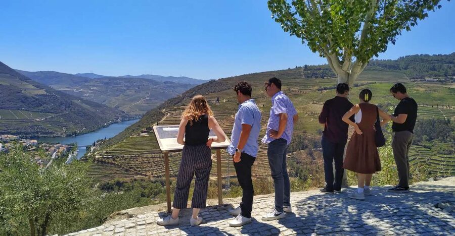 Porto: Douro Valley Wine Tour with Tastings, Boat, and Lunch - The advantage of a group capped at eight