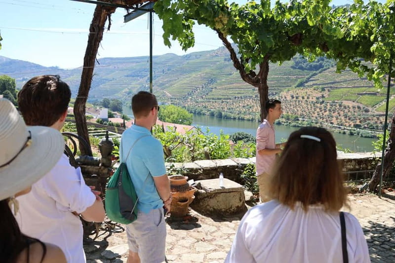 Porto: Douro Valley Wine Tour with Tastings, Lunch & Cruise - Who will enjoy this day most