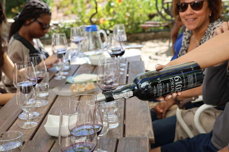 Porto: Douro Valley Wine Tour with Tastings, Lunch & Cruise - One winery or two: choose based on your drinking habits
