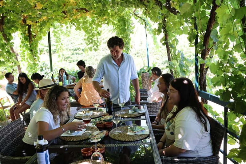 Porto: Douro Valley Wine Tour with Tastings, Lunch & Cruise - Pinhão and the one-hour river cruise