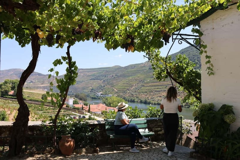 Porto: Douro Valley Wine Tour with Tastings, Lunch & Cruise - A wine-paired lunch at a family estate