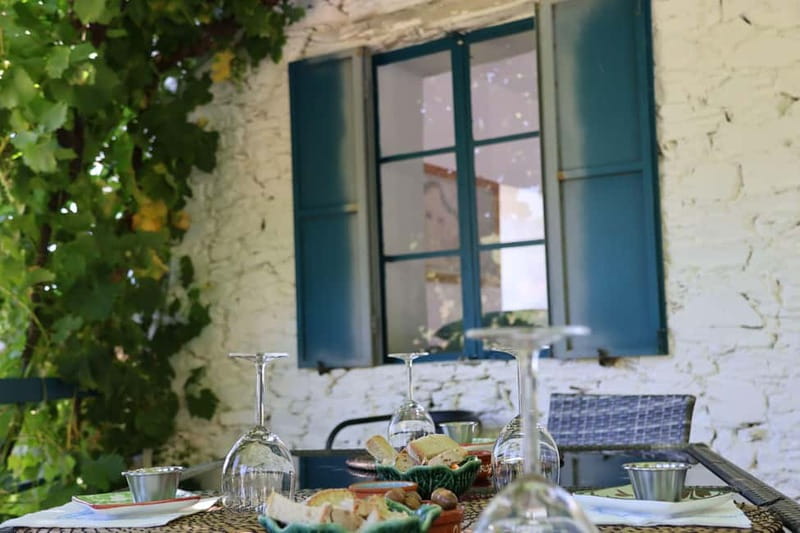 Porto: Douro Valley Wine Tour with Tastings, Lunch & Cruise - Is $113 a fair price?