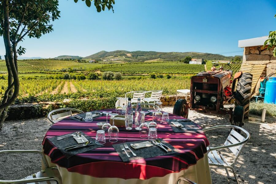 Porto: Douro Valley with Winery Lunch, Tastings & Cruise - The return along the N222