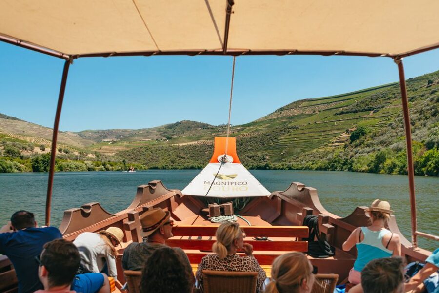 Porto: Douro Valley with Winery Lunch, Tastings & Cruise - Transport, group size, and comfort