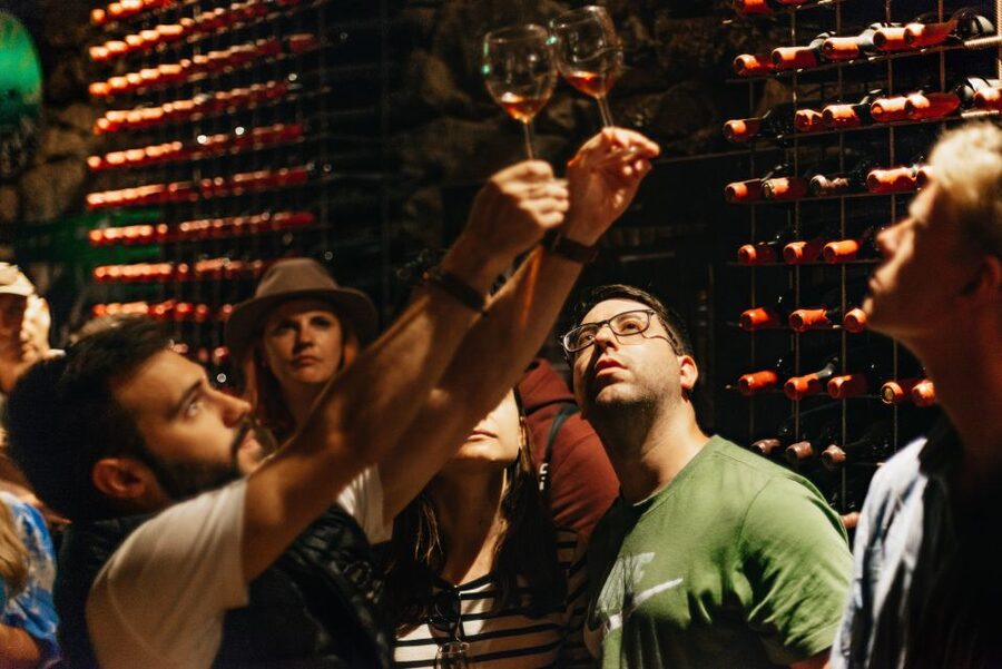 Porto: Douro Valley with Winery Lunch, Tastings & Cruise - Is $99 good value?