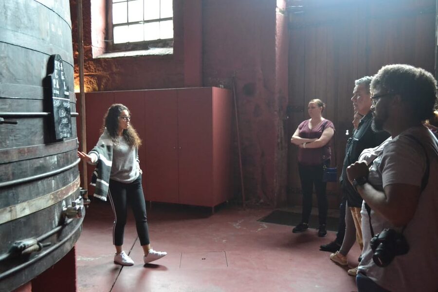 Porto: Port and Douro Wine Walking Tour with 9 Tastings - The guides make or break the experience
