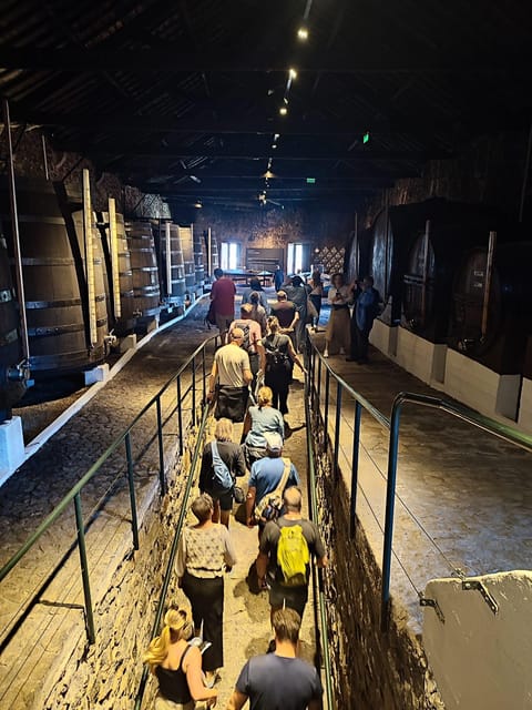 Porto: Port and Douro Wine Walking Tour with 9 Tastings - Fonseca brings a larger cellar perspective