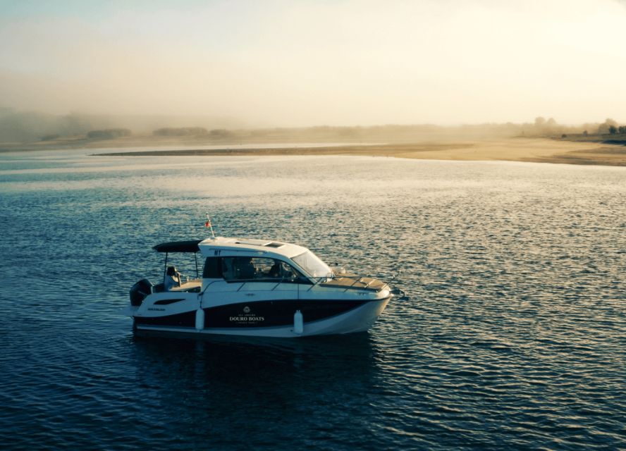Porto: Private Boat Tour in Douro River - The Douro estuary nature reserve