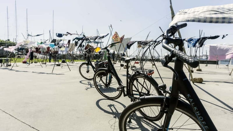 Porto Private E-Bike Tour: Douro River, Parks & Beaches - Parque da Cidade and Porto’s green side