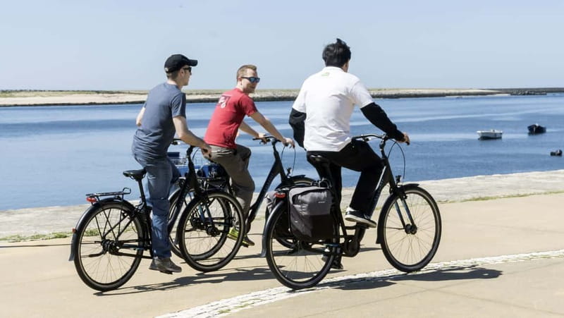 Porto Private E-Bike Tour: Douro River, Parks & Beaches - Starting beneath Porto’s giant mural