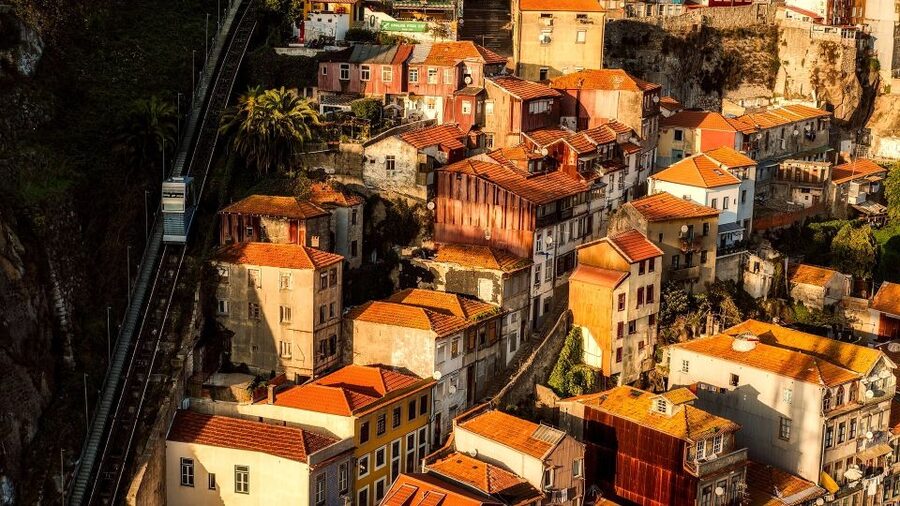 Porto Private Half Day Walking Tour: Cruise & Wine Tasting - Why this Porto tour works as an introduction