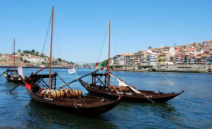 Porto Private Half Day Walking Tour: Cruise & Wine Tasting - Who should book this experience?