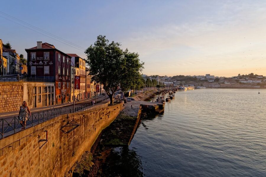 Porto Private Half Day Walking Tour: Cruise & Wine Tasting - Starting at the Lions’ Fountain